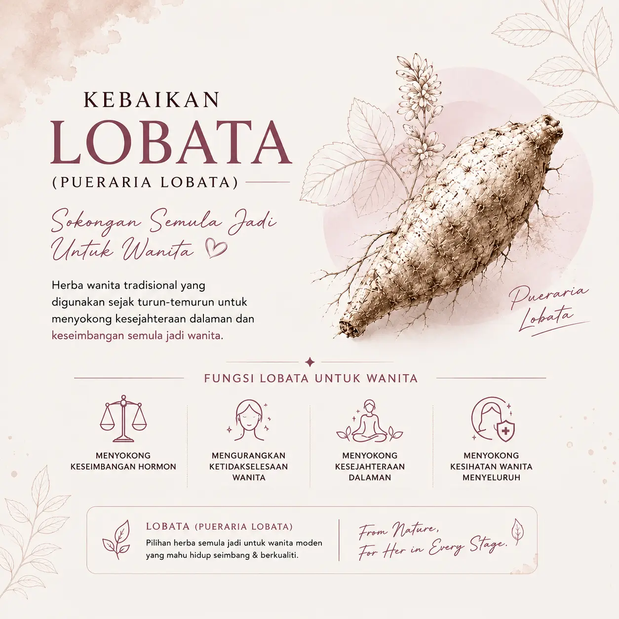 D'Folia Botanical Drink — Benefits of Pueraria Lobata