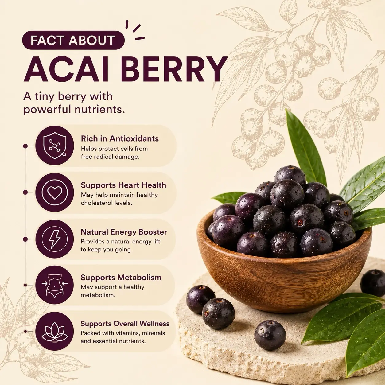 B-TOX Shot Drink — Fact About Acai Berry